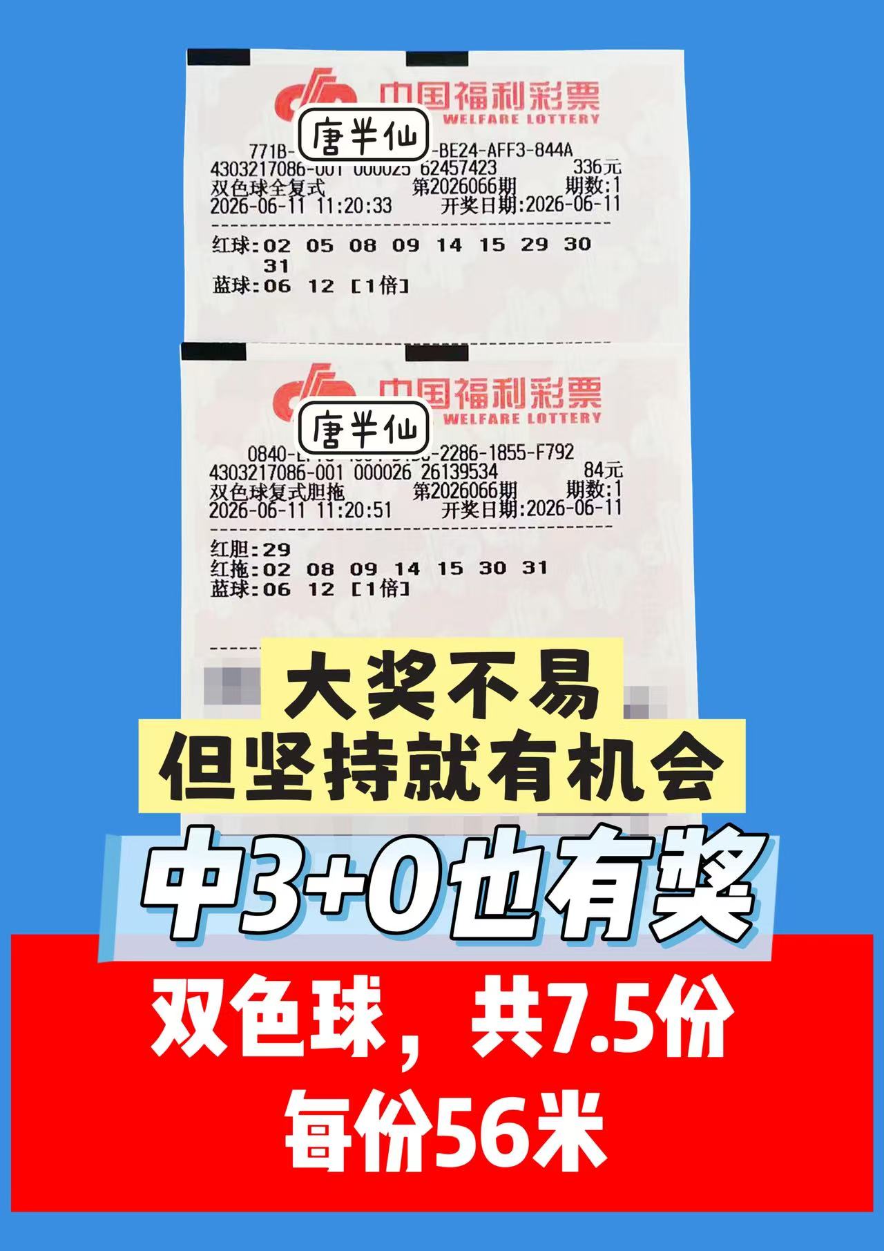 1781149742-image1 6月11日实票图片