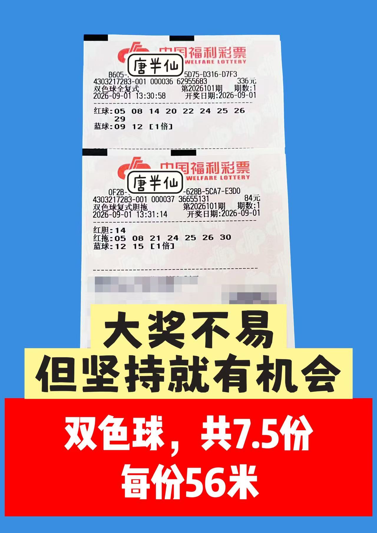 1788248281-image2 9月1日实票图片