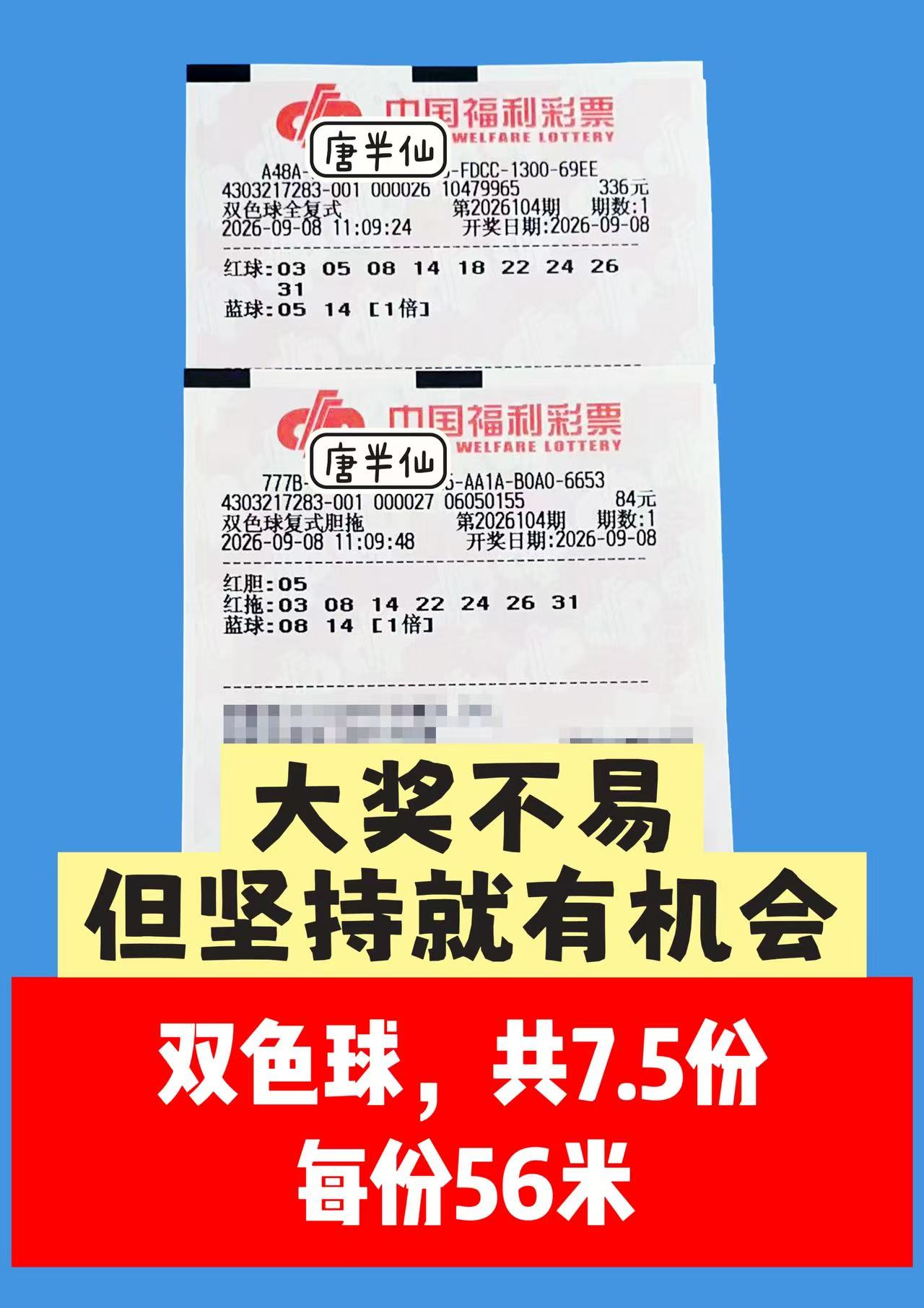 1788842494-image2 9月8日实票图片