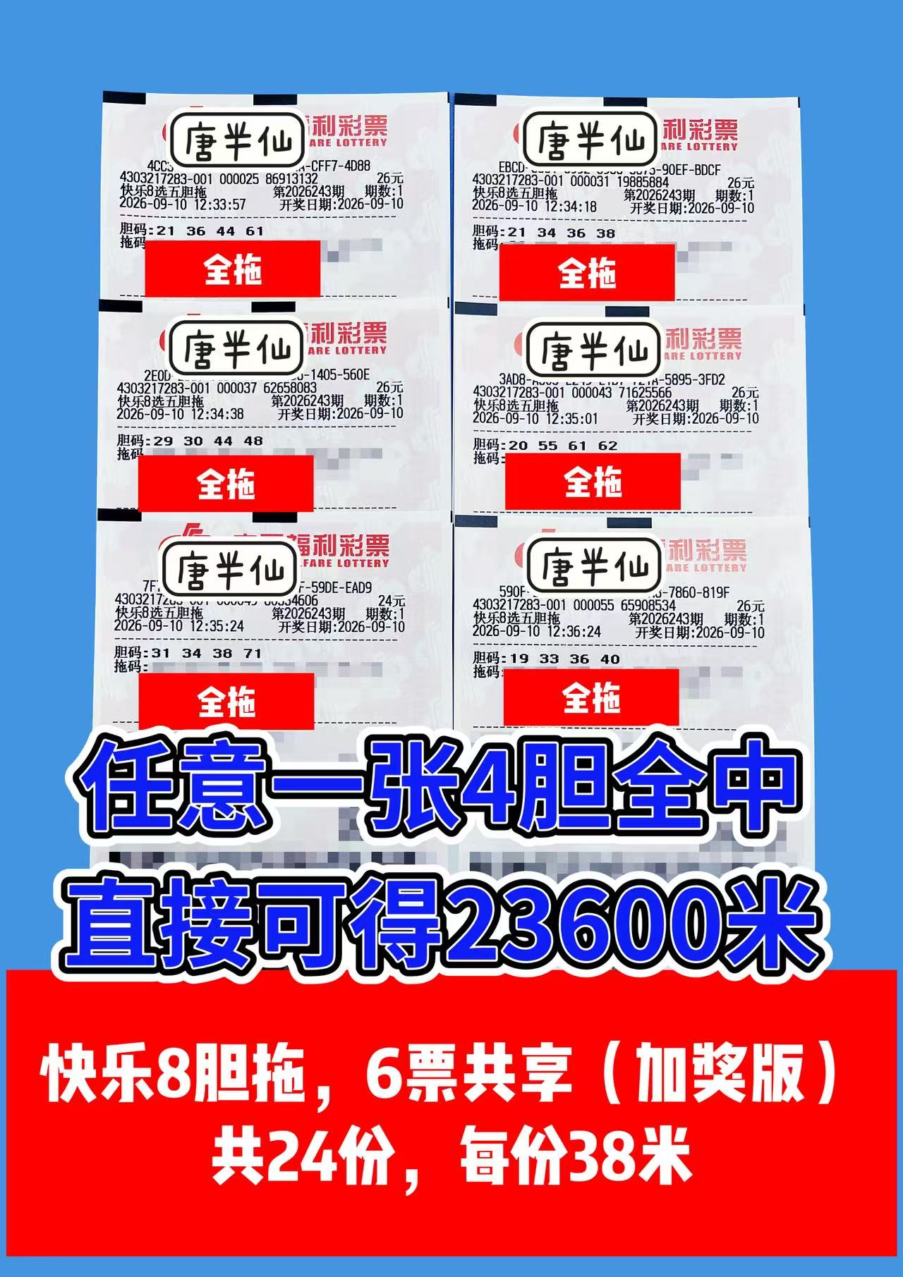 1789016030-image4 9月10日实票图片
