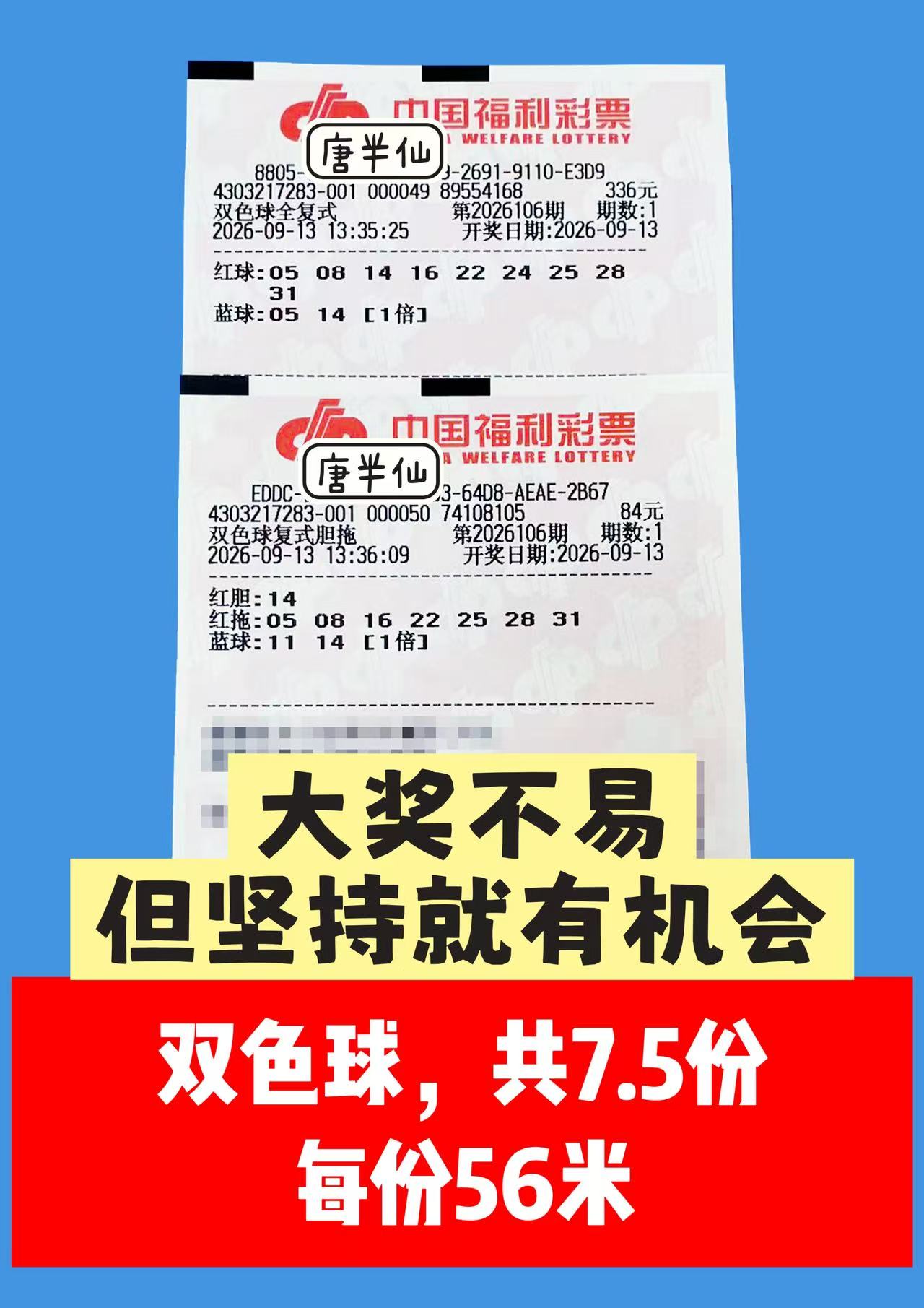 1789290124-image3 9月13日实票图片