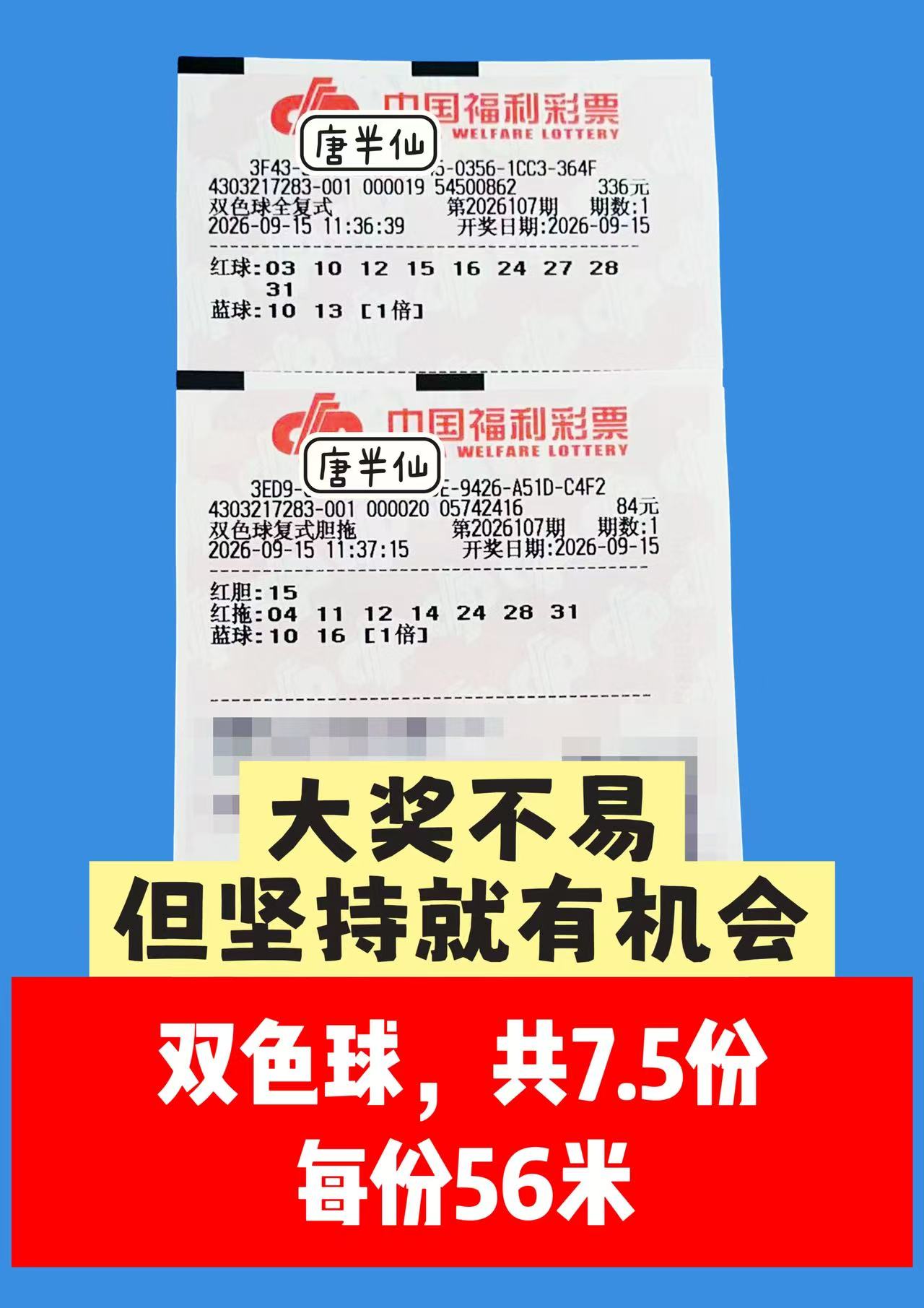 1789445233-image2 9月15日实票图片