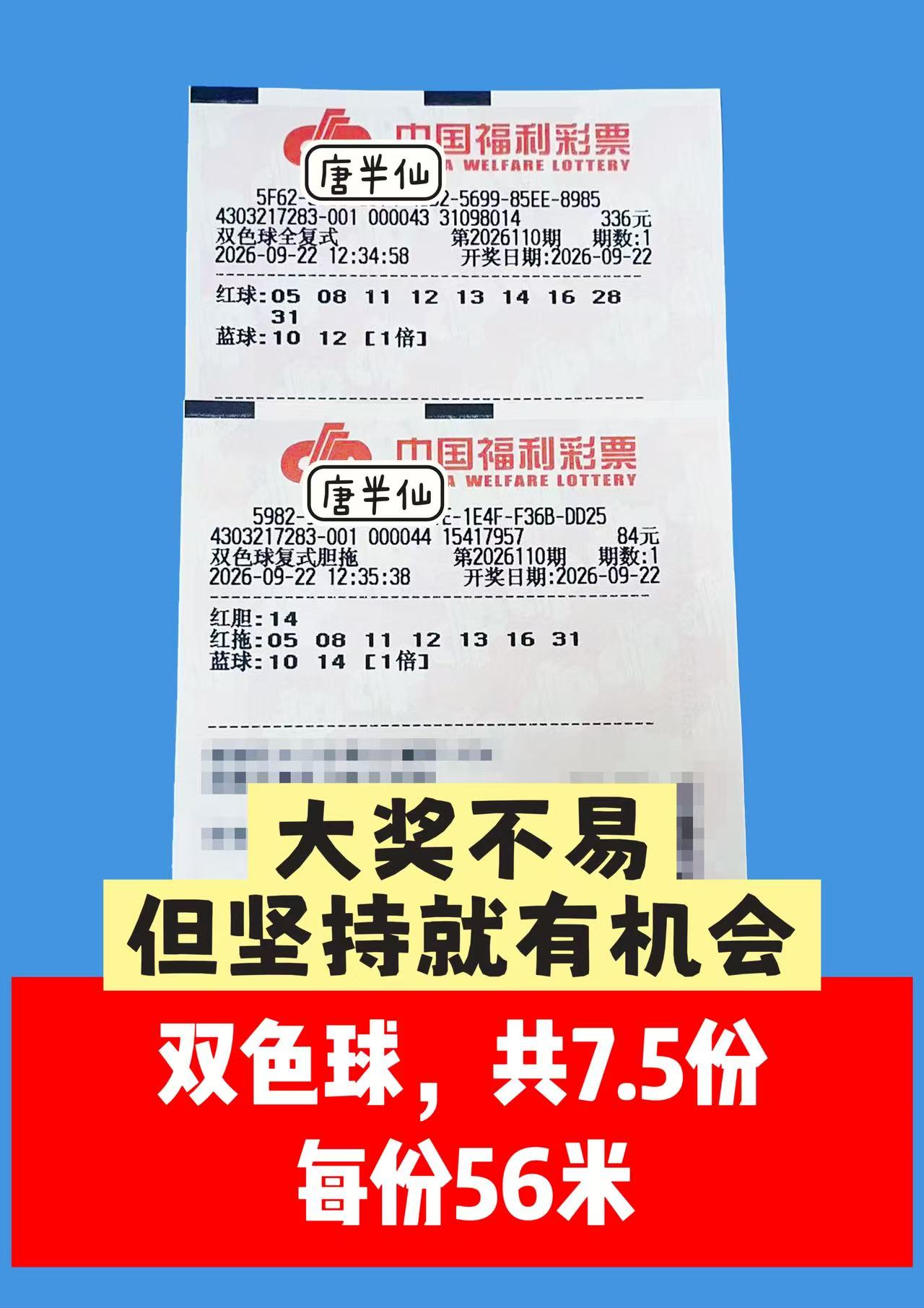 1790053003-image2 9月22日实票图片