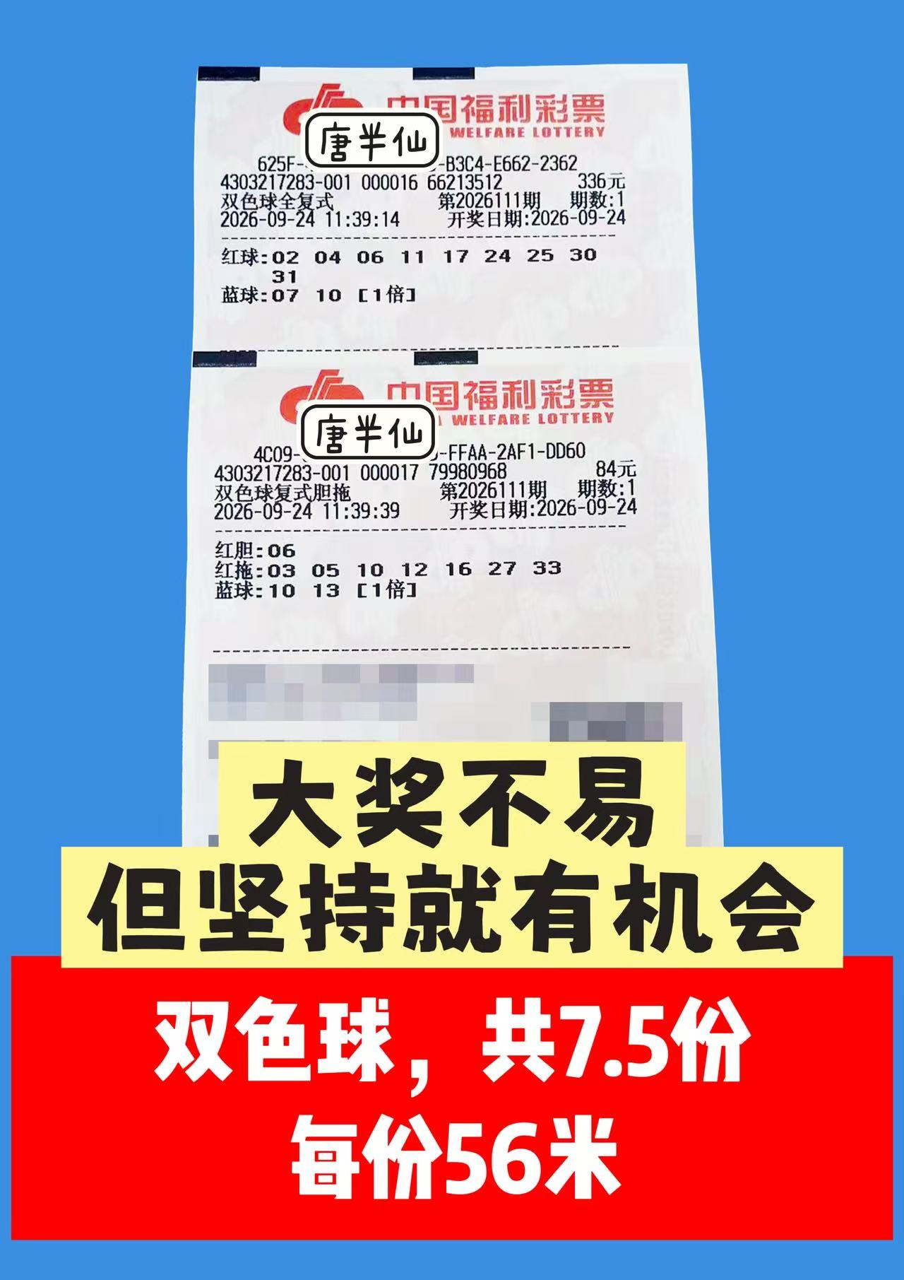 1790222451-image2 9月24日实票图片