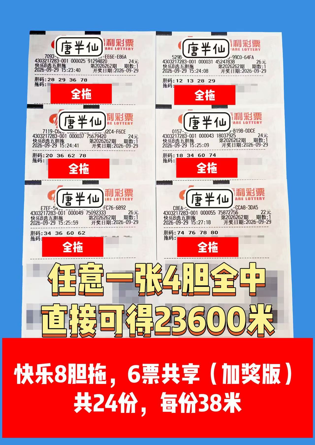 1790669272-image4 9月29日实票图片